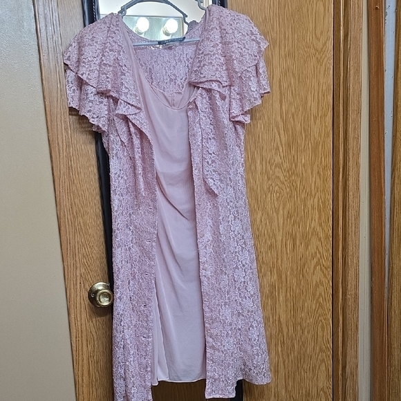 All that Jazz Dresses & Skirts - Vintage! All That Jazz Blush Lace Dress